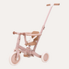 4 in 1 Tricycle with Push Bar - Fairy Floral