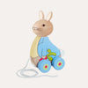 Peter Rabbit™ Pull Along