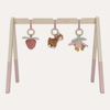 Baby Gym - Fairy Garden