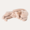 Sleeping Bunny Plush, Small - Powder