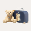 Ben Teddy Bear Beige in suitcase, 20cm