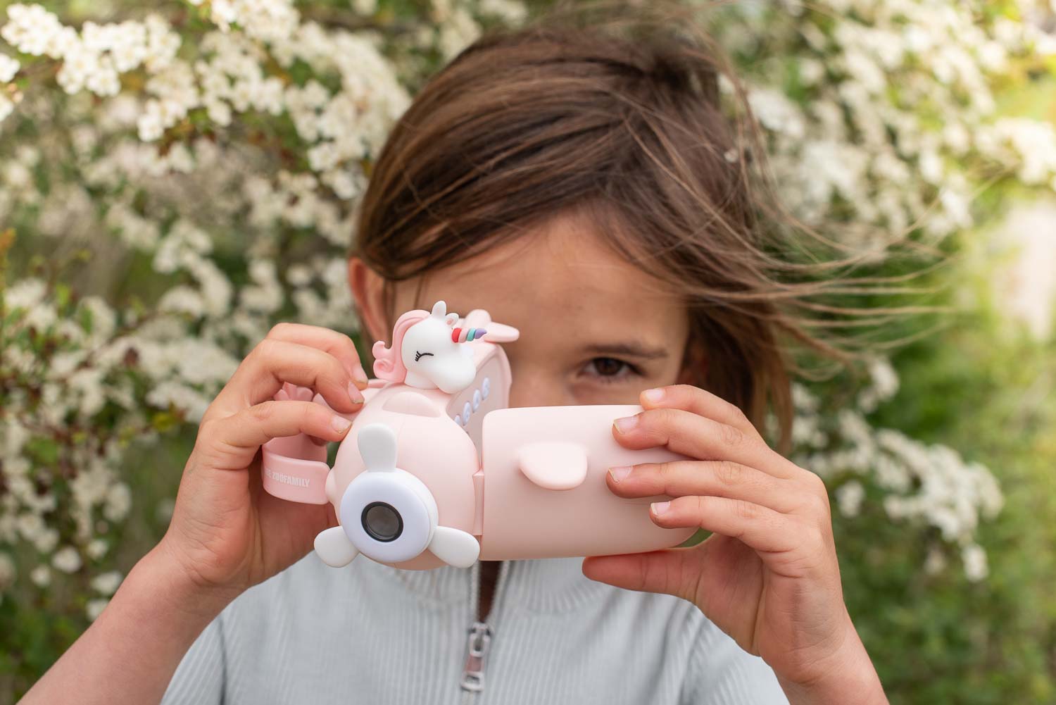 Discovering The Zoofamily